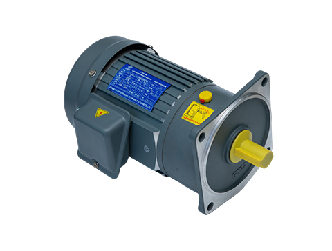 微型定速電機 微型定速電機