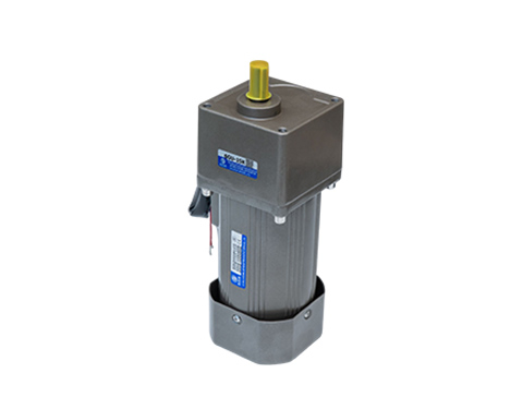 微型定速電機(jī) 微型定速電機(jī)